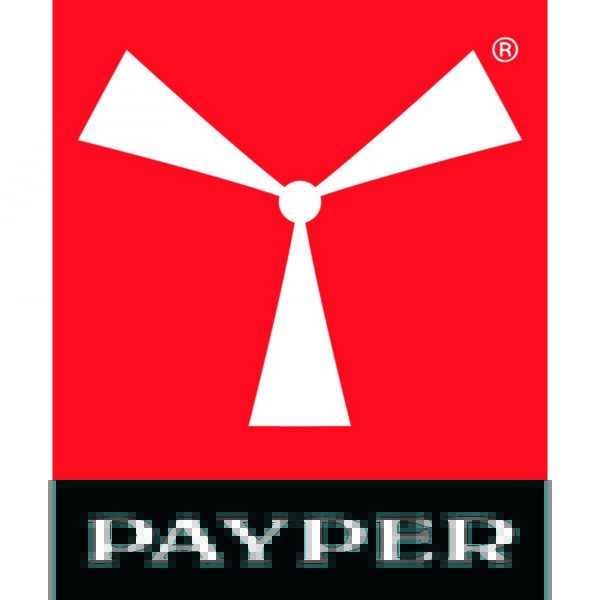 Payper Rimini Summer short - Afbeelding 2